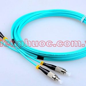 FC/FC, MM (OM3-10G), Duplex Patch Cord